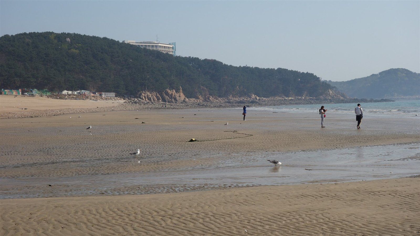 왕산해수욕장